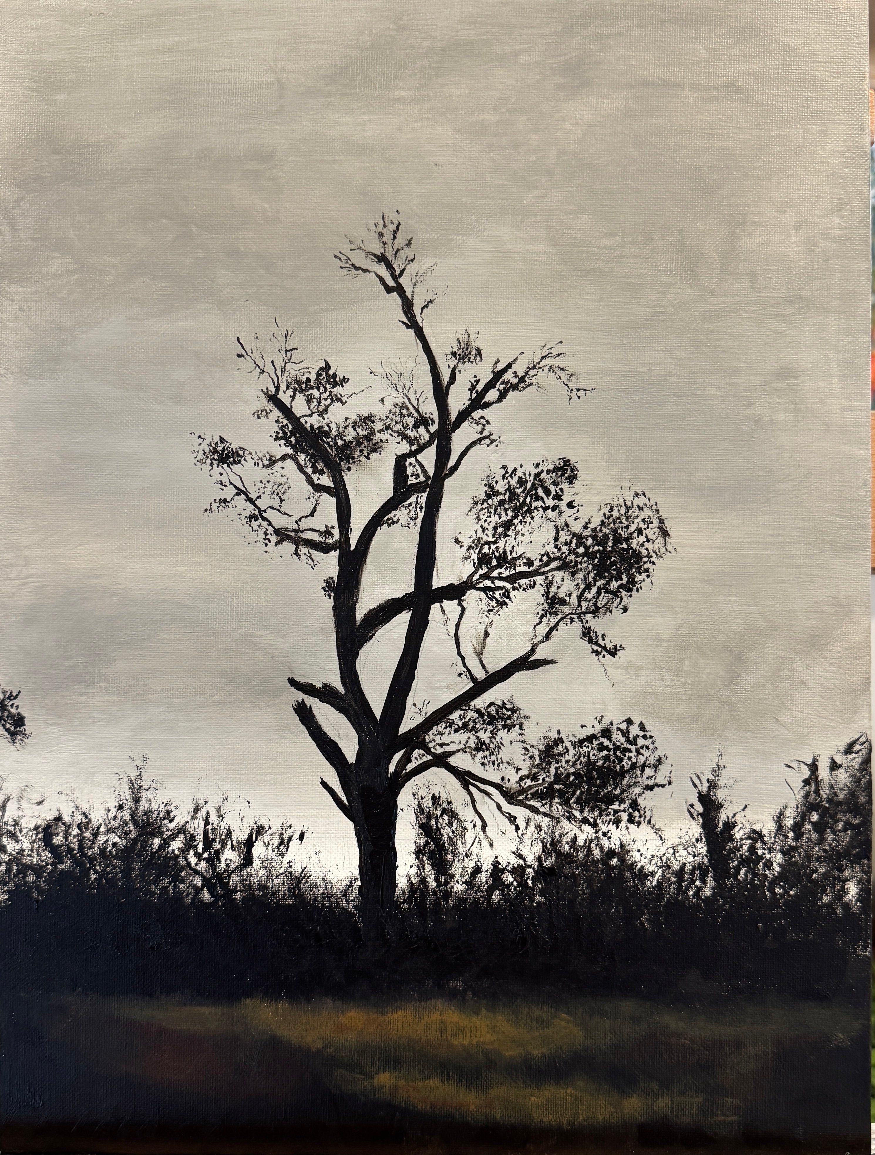 Tree Silhouette - Original, Signed Acrylic Painting