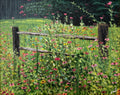 Wildflowers - Original, Signed Acrylic Painting